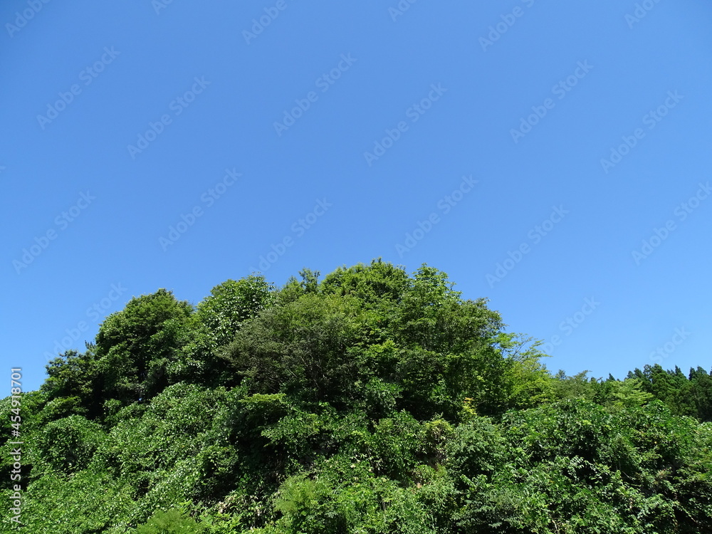 青空と夏の里山