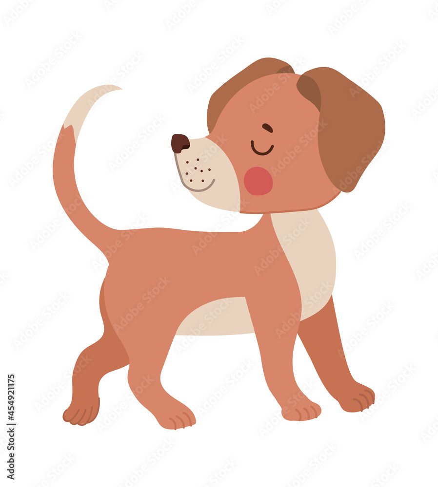 doggy face representation doggy face representation