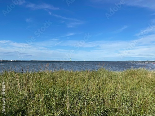 Hinter dem Strandgras rauscht die Ostsee auf der Halbinsel Priwall in Travem  nde.