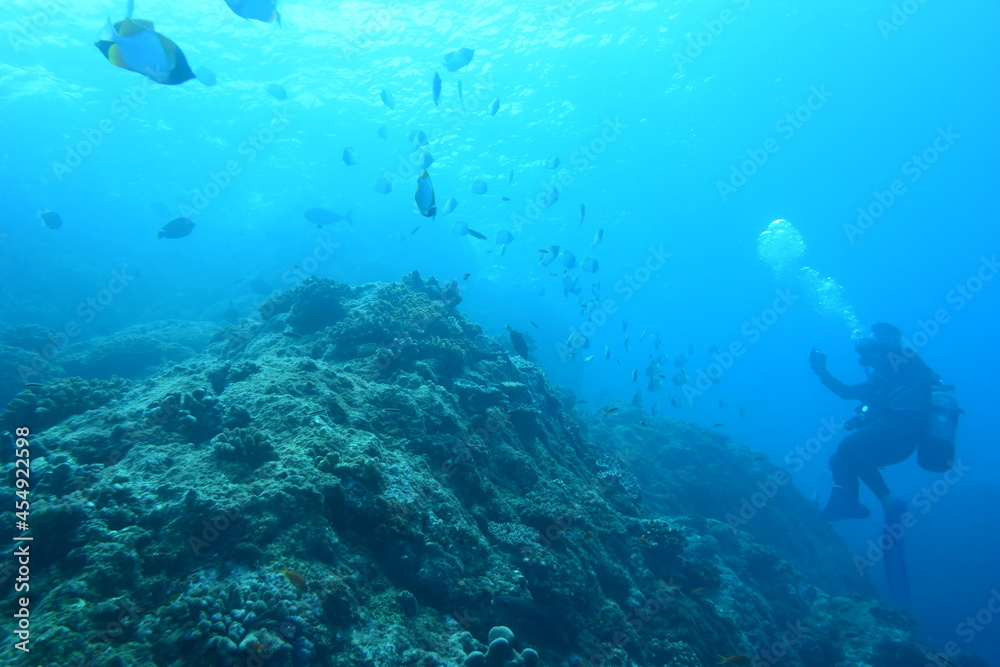 奄美大島 珊瑚礁と魚とダイバー
2108 7805