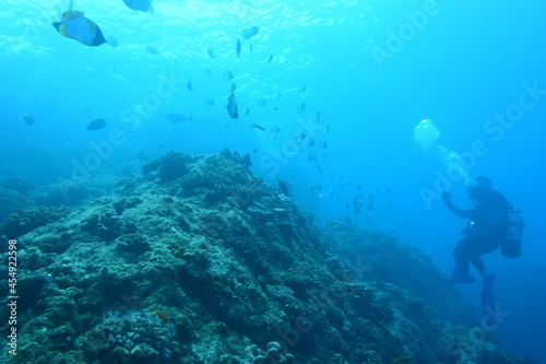 奄美大島 珊瑚礁と魚とダイバー 2108 7805 © Takehiro