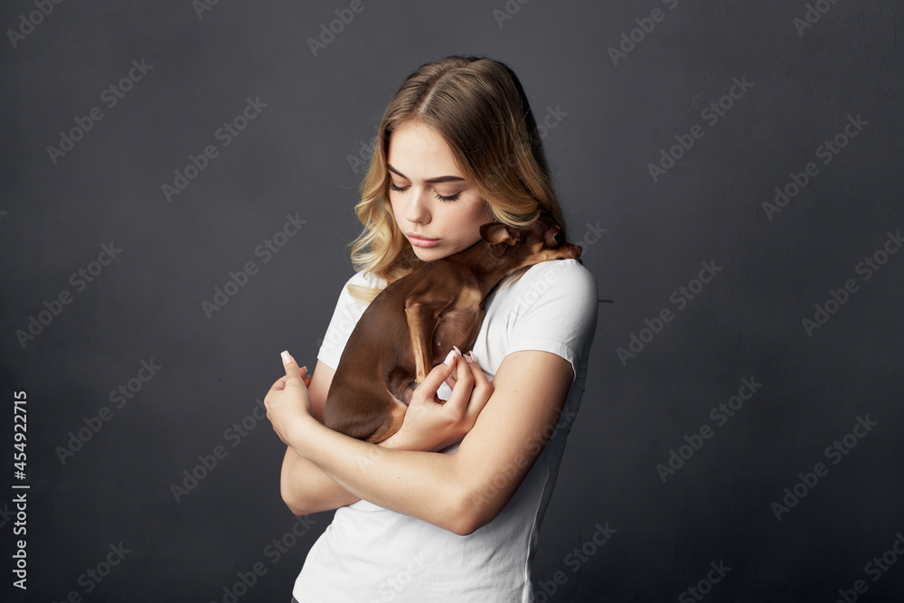 blonde a small dog fun Studio dark background blonde a small dog fun Studio dark background
