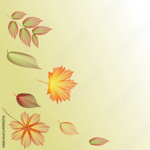 herbst Laub abstrakt