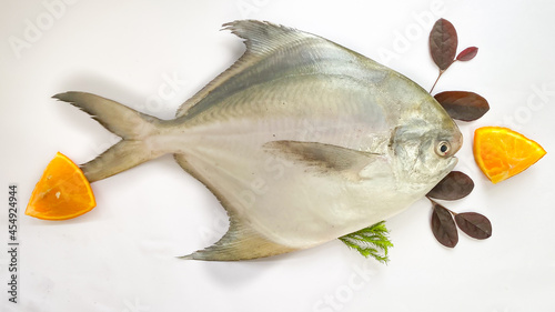 Fresh Silver Pomfret,White Pomfret fish isolated on a white background and decorated with herbs.Selective focus. photo
