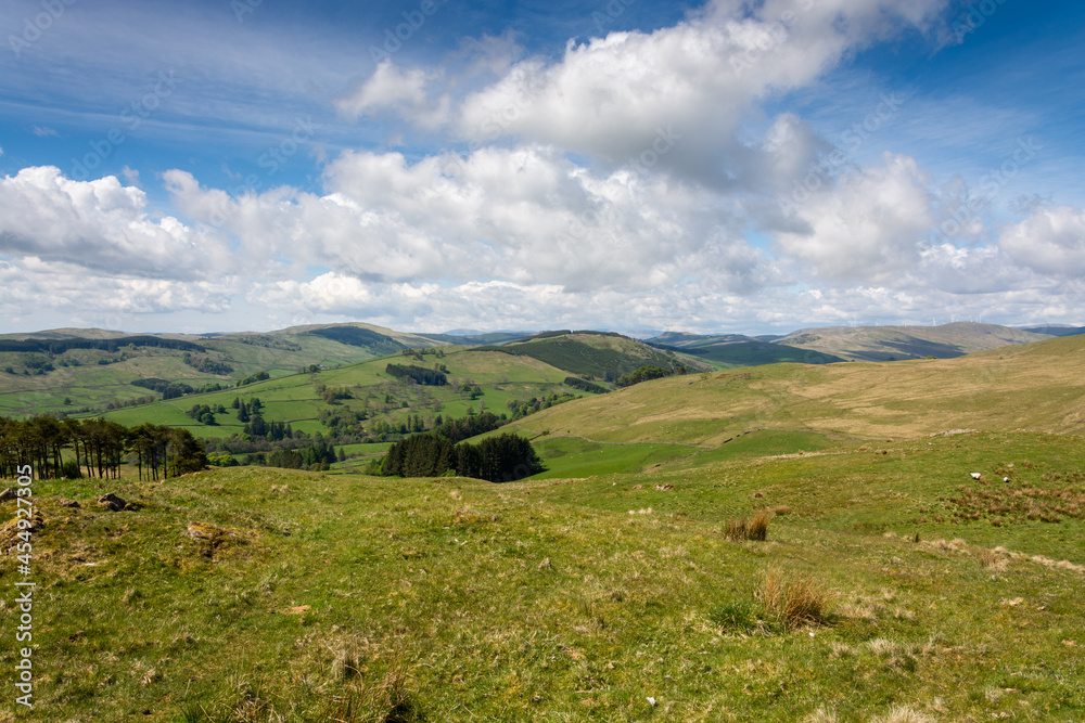 Obraz premium landscape with sky