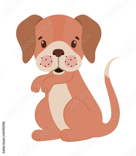 pretty puppy illustration