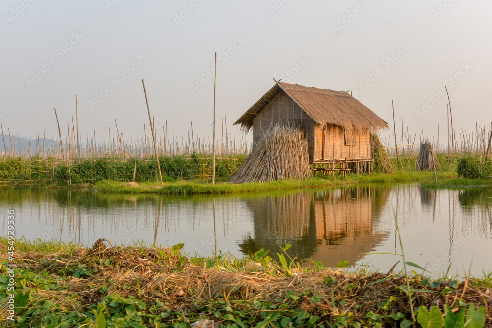 Floating gardens in Inle Lake, Myanmar Floating gardens in Inle Lake, Myanmar