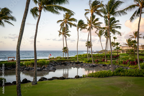 The early morning sun slowly rises on the palm trees and beach in Poipu, Hawaii on the island of Kauai.