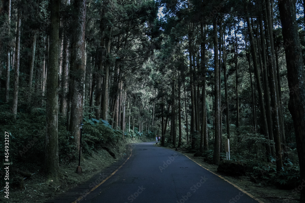 Road in the forest, Taiwan