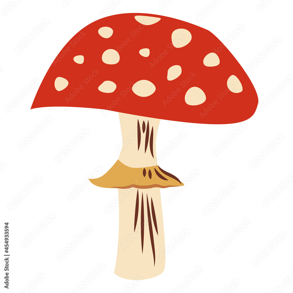 Fly agaric mushrooms on a white background. Poisonous forest mushroom. Isolated vector illustration on a white.