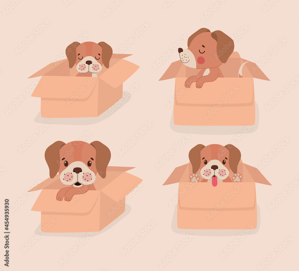 boxes with puppies boxes with puppies