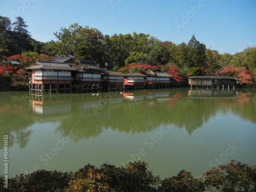 Hachijyouga-ike Pond and autumn leaves in the precincts of Nagaoka-tenjin Shinto Shrine  in Nagaokakyo City in Kyoto Pref. in Japan　日本の京都府長岡京市にある長岡天神こと長岡天満宮の境内の八条ヶ池と紅葉 photo