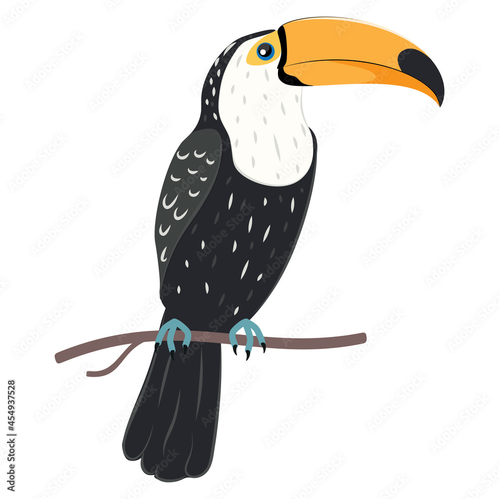 Fototapeta premium Toucan tropical bird
