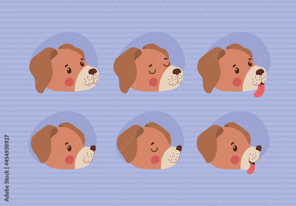 six dog faces six dog faces