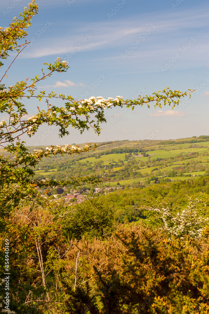 Scenic view of Cotswold.
Scenic view of Cotswold.