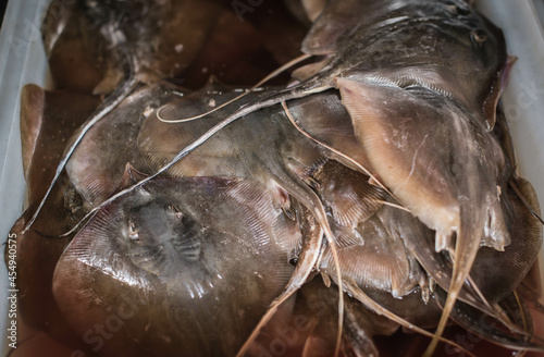 A stingray that has just been picked up from a fishing boat is sold in the Ban Laem Chabang Fish Market, Thailand.