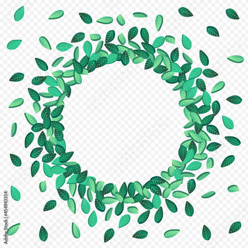 Mint Leaf Forest Vector Transparent Background