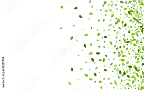 Mint Leaf Wind Vector Banner. Abstract Foliage