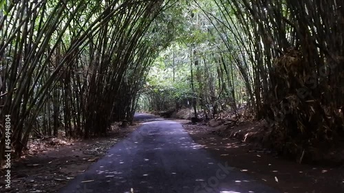 highway between lush bamboo forest, Bangli, Bali