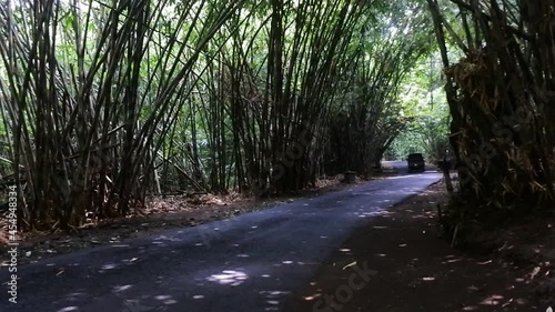 highway between lush bamboo forest, Bangli, Bali