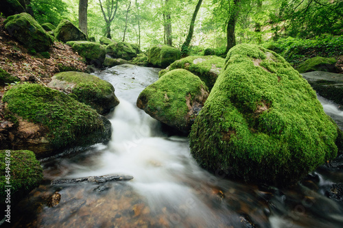 Dans un joli site d'arbres et de rochers s'écoule cette cascade au nom de cascade de Briscou ou Brisecou à autun en bourgogne dans la forêt