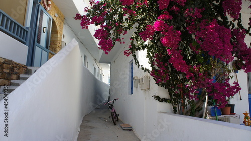 Photographie bougainvillaea and white traditional building In Greek island of Koufonisi Augus