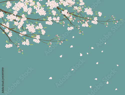 벚꽃 일러스트 illustration 벚꽃나무 일러스트