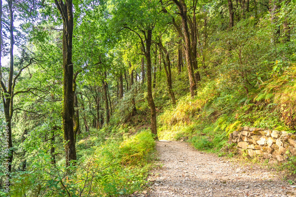 View at Nainital of the Kumaon region, Uttrakhand. View at Nainital of the Kumaon region, Uttrakhand.