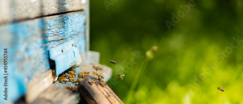 Bees fly into the hive entrance. Bees flying around beehive. Beekeeping concept. Copy space. Selective focus