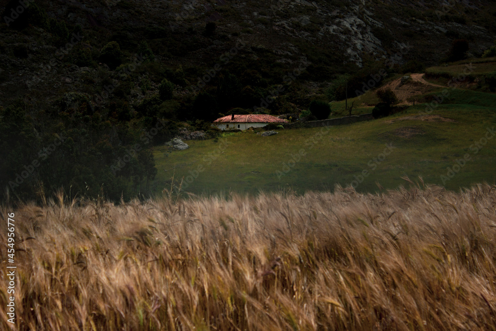 Fototapeta premium Hay veces que solo necesitamos una cabaña en medio del campo