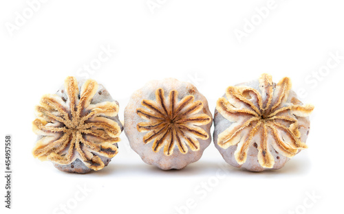 Three opium poppy pods, closeup. Front view of dried poppy pods. Also known as Papaver somniferum. Used harvest seeds for planting, cooking or medicinal. Isolated on white. Selective focus.