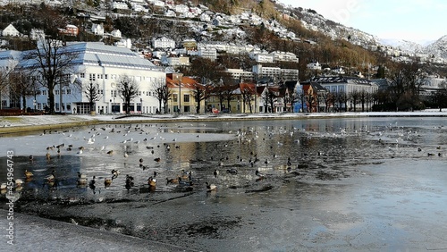 View of a frozen pond, Bergen, Norway