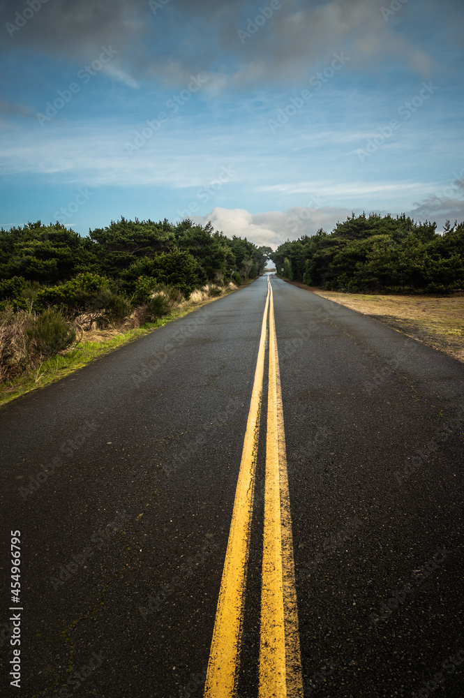 Vertical image country road with greenery and blue sky with clouds Vertical image country road with greenery and blue sky with clouds