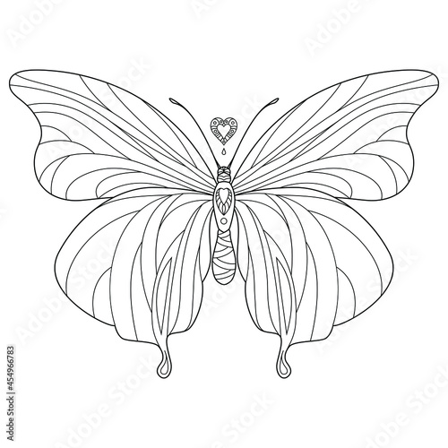 Butterfly vector illustration for coloring book. Antistress for adults and children. 