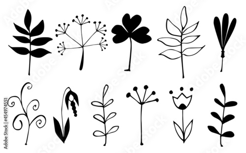 Hand drawn linear leaves, branches. Botanical elements growing plants. Vector illustration.