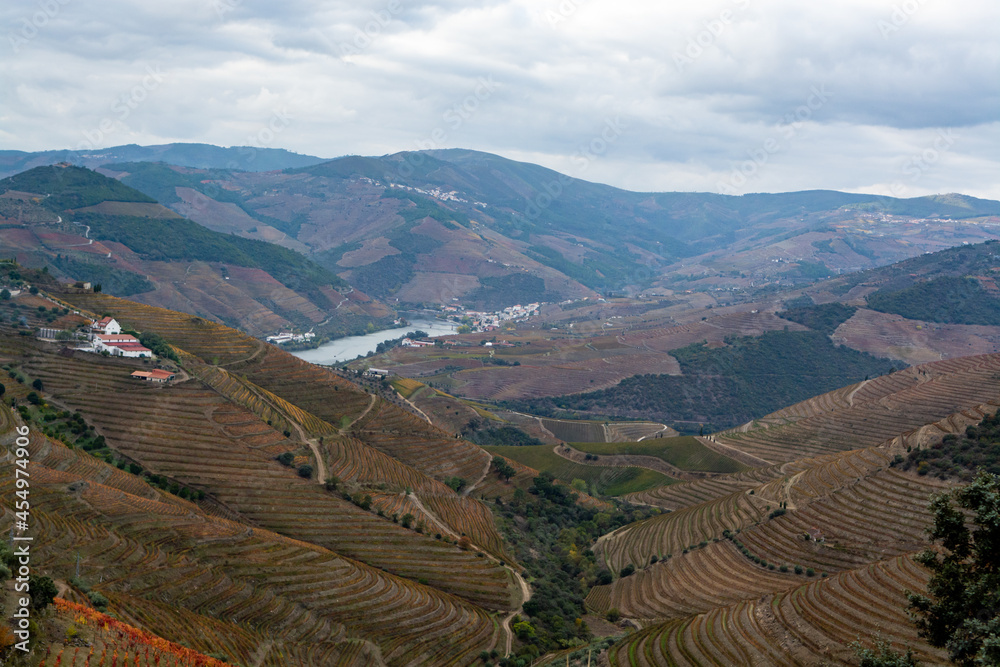 Fototapeta premium Panoramic view on Douro river valley and colorful hilly stair step terraced vineyards in autumn, wine making industry in Portugal