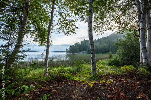 A view of the boreal forest and a flat calm fog covered lake on a misty morning out in Northwest Ontario. 