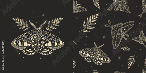 mystical illustration of a butterfly or moth. mysterious night in a secret garden. magic aesthetics, wildlife, retro vintage engraving style