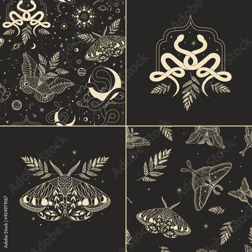 mystical illustration of a butterfly or moth. mysterious night in a secret garden. magic aesthetics, wildlife, retro vintage engraving style