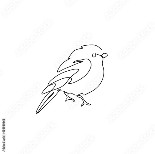 Vector isolated small bird one line single line drawing. Black line art sparrow, robin beard drawing.