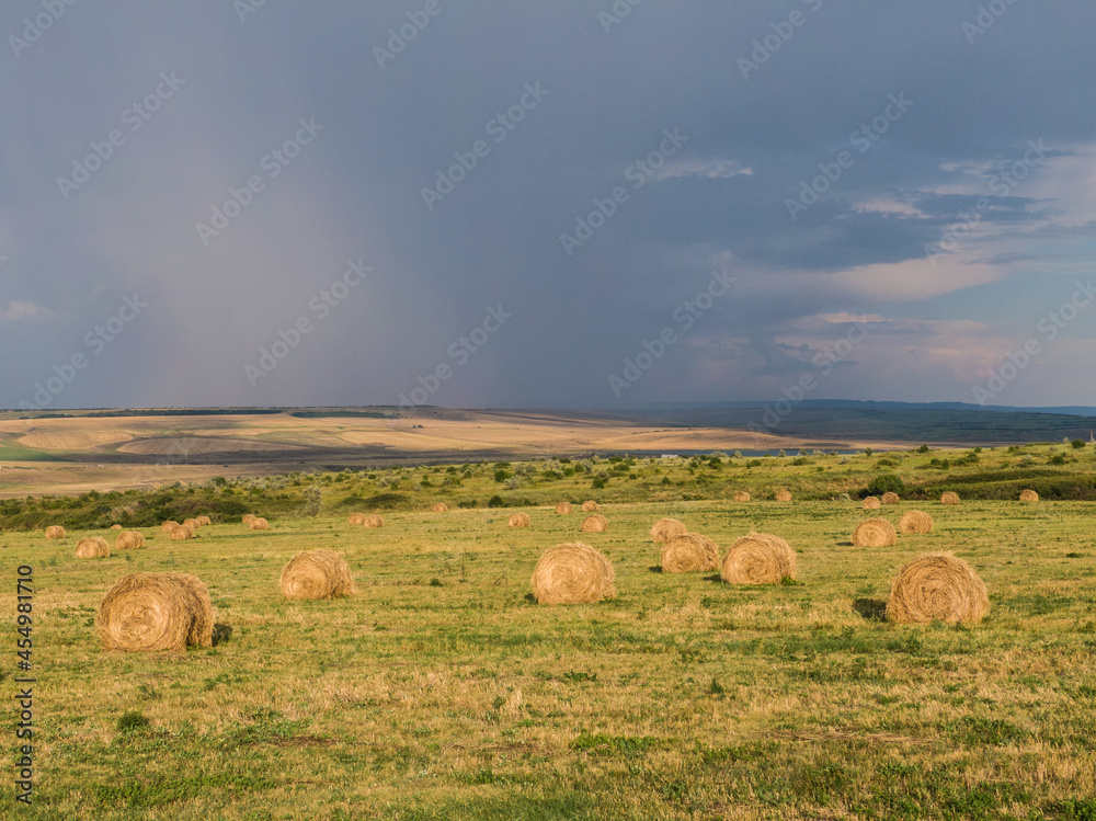 beautiful rural landscape with rolls of hay on agricultural wheat field