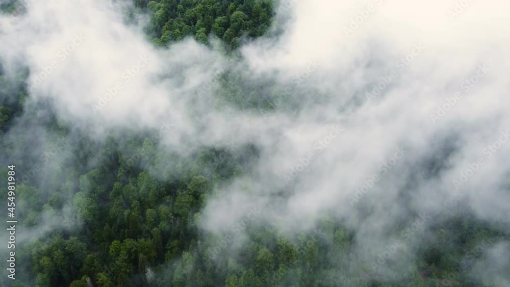 Flying through the clouds above mountain pine Forest, Magical summer forest at Rainy weather, aerial view drone 4k Flying through the clouds above mountain pine Forest, Magical summer forest at Rainy weather, aerial view drone 4k