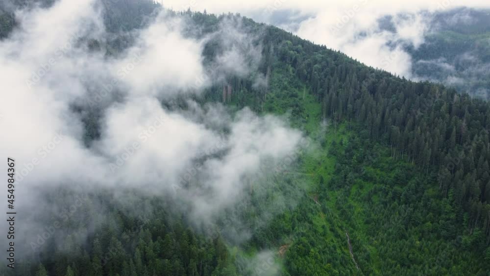 Flying through the clouds above mountain pine Forest, Magical summer forest at Rainy weather, aerial view drone 4k Flying through the clouds above mountain pine Forest, Magical summer forest at Rainy weather, aerial view drone 4k