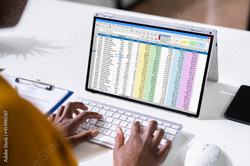 Woman Working With Electronic Spreadsheet Reports