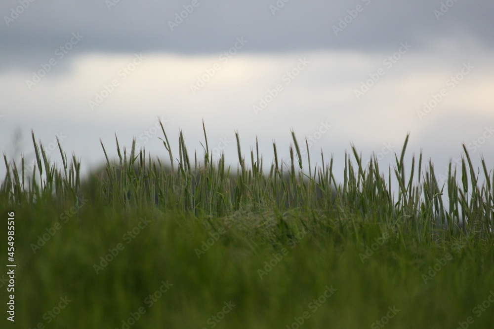 Landschaft Landschaft