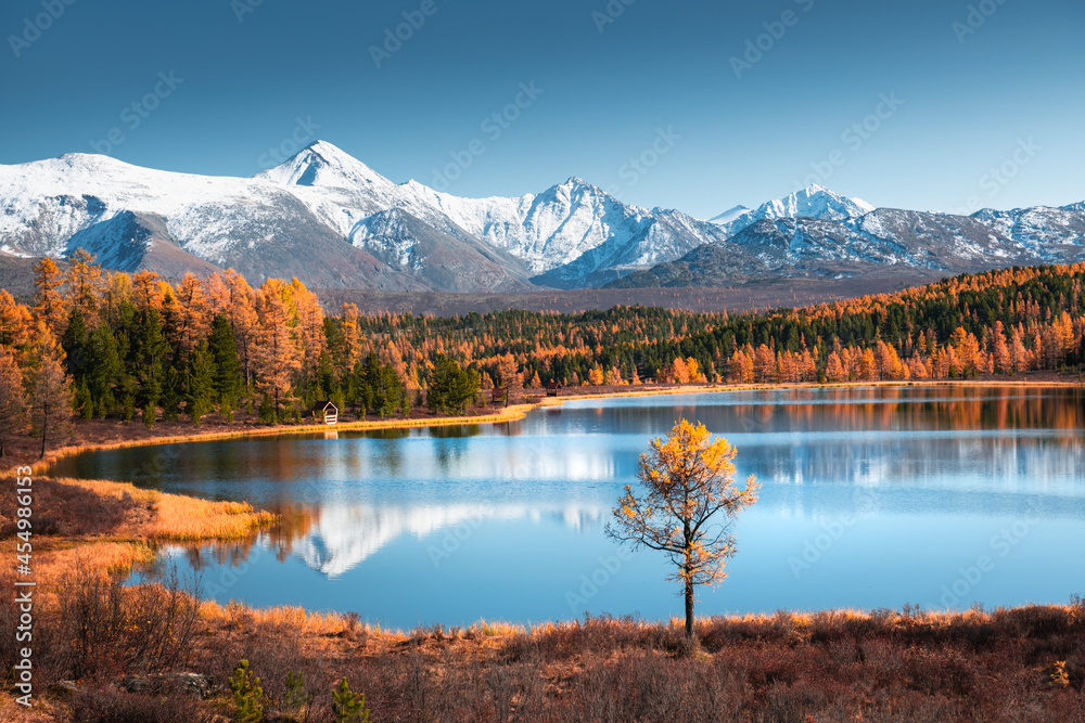 Kidelu lake in Altai mountains, Siberia, Russia. Snow-covered mountain peaks and yellow autumn forest. Beautiful autumn landscape.