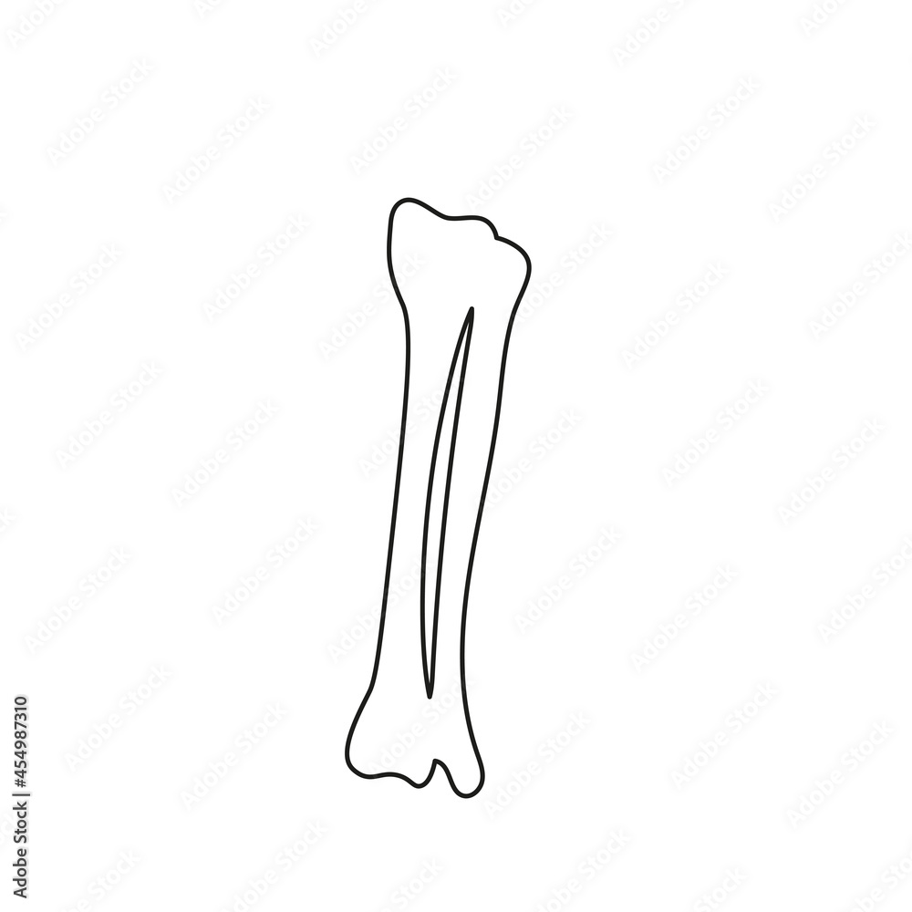 halloween scary bones skeleton halloween scary bones skeleton