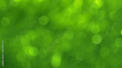 green abstract background of blurred lights with bokeh effect