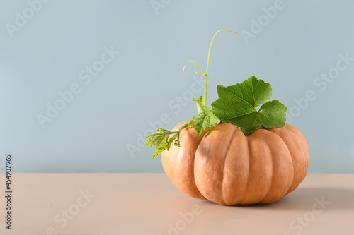 Organic fresh ripe pumpkin on modern colorful blue and beige paper background. Autumn harvest food for Thanksgiving Day or Halloween Party. photo