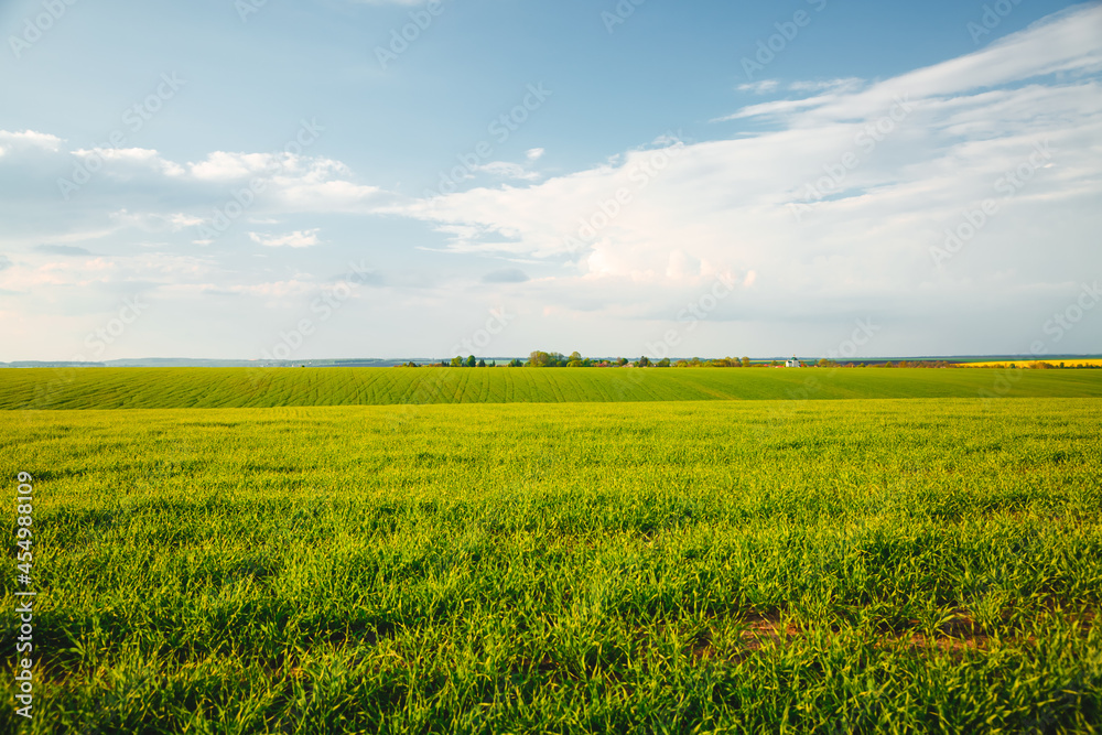 Scenic view of green rural land and cultivated fields. Scenic view of green rural land and cultivated fields.